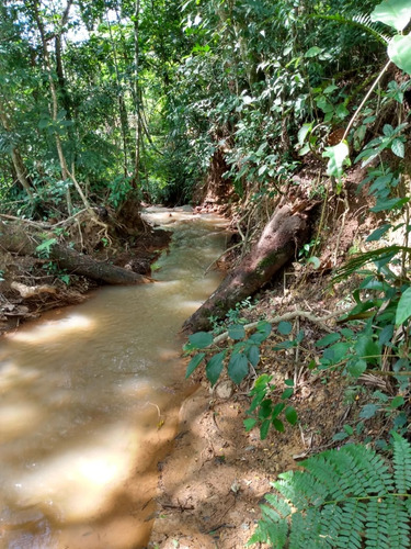 Terreno Sitio Chacara Lote Loteamento Com Lago 16.000 M² Ibiuna Sonho Tranquilidade Natureza Refugio