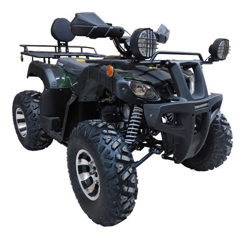 Imagen 9 de 9 de Atv Humer 250 Tao Motor