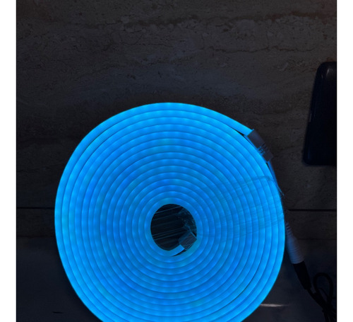 Tira Luz Led Neon 5 Metros Flexible 12v Variedad De Colores