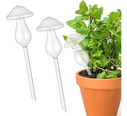 5pcs Planta Riegue De Champiñones De Globo, Dispositivo De