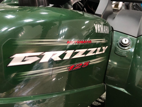 Imagen 3 de 10 de Yamaha Grizzly 125 Parrillero Utilitario