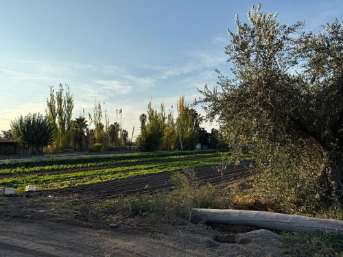 Finca De 6 Has En Venta En Los Corralitos, Gllén