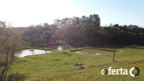 Imagem 7 de 15 de Chacara Com Casa - Lagoa Grande - Ref: 386 - V-386