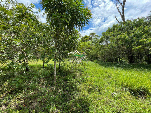 Imagem 4 de 20 de Chácara, Area Rural, Pedro De Toledo - R$ 100 Mil, Cod: 607 - V607