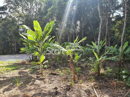 Imagem 17 de 30 de Chácara À Venda Em - Ch007025
