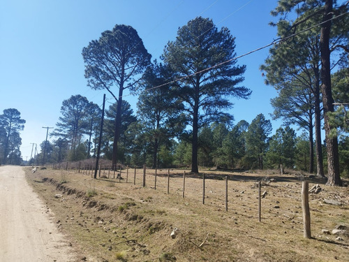 Estancia Las Cañitas