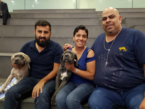 Remis Para Mascotas Con Su Dueño - Viaje Con Mascotas
