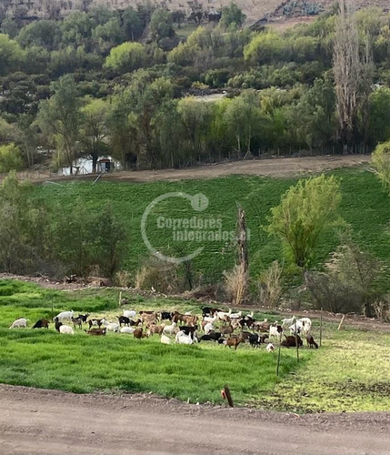 Agrícola En Venta En Combarbalá
