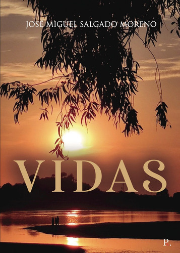 Vidas, De Salgado Moreno, José Miguel. Editorial Punto Rojo Editorial, Tapa Blanda En Español