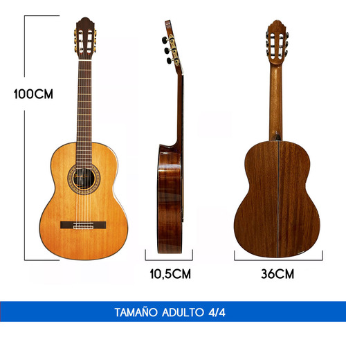 Guitarra Criolla Concierto Rómulo García H-800 Tapa Solida