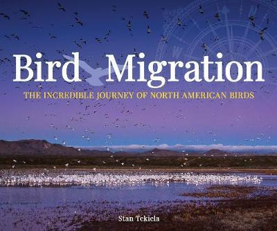 Libro Bird Migration : The Incredible Journeys Of North A...