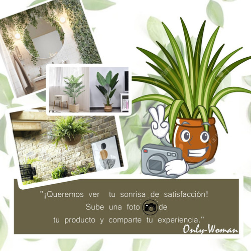 Planta Artificial Hoja Costilla De Adan Deco Interiores 61cm