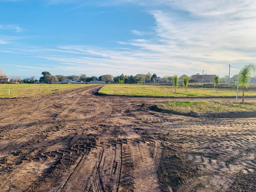 Venta - Terreno En Ricardone - 300 M2