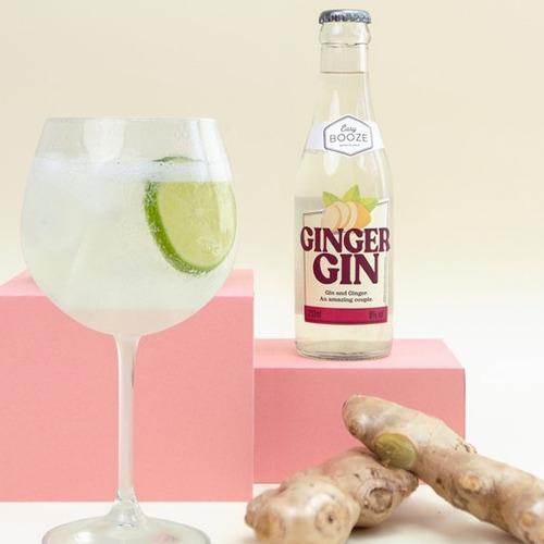 Imagem 2 de 2 de Bebida Mista Ginger E Gin Easy Booze 200ml
