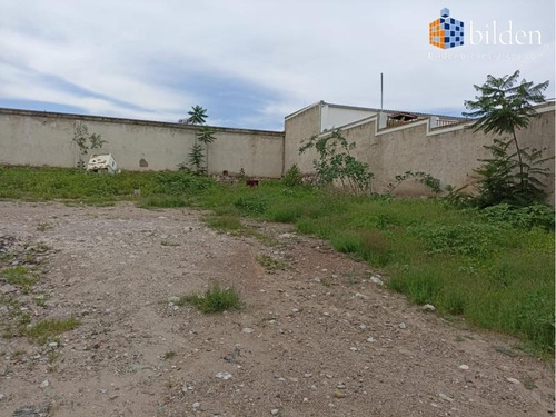 Imagen 3 de 4 de Terreno En Renta Fracc. Lomas Del Guadiana