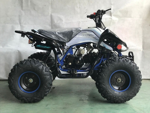 Imagen 5 de 15 de Cuatrimoto 125cc