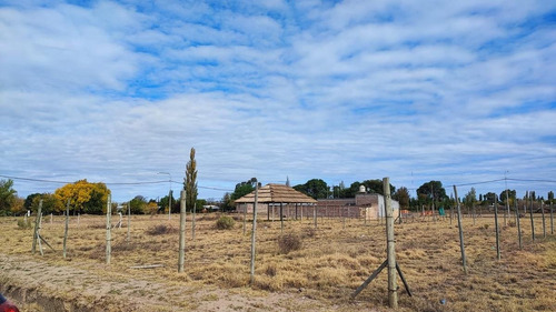 Imagen 9 de 9 de Lote En Venta San Rafael Mendoza