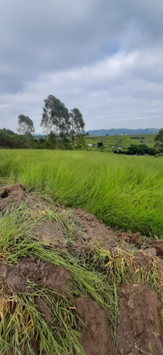 Imagem 8 de 15 de F10; Terreno Com Visao Maravilhosa