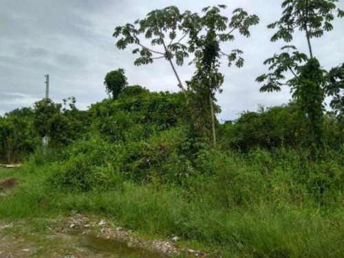 Terreno Lado Praia De 260 Mts Em Itanhaém - 5189 | Npc