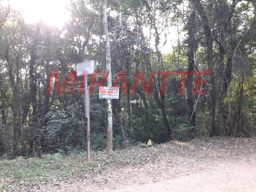 Imagem 2 de 2 de Terreno Em Serra Da Cantareira - São Paulo, Sp - 323140