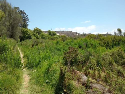 Imagen 4 de 5 de Parcela En Venta En La Serena