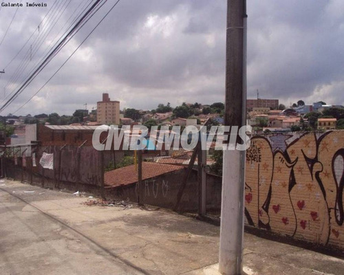Imagem 3 de 11 de Terreno À Venda No Jardim Campos Eliseos Em Campinas - Te03960 - Te03960 - 70963732