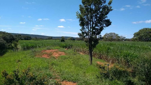 Imagem 17 de 30 de Fazenda De Pecuária E Agricultura 620 Hectares Curvelo Mg - 7557