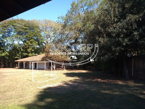 Imagem 10 de 30 de Ótima Chácara No Bairro Água Branca (código Ch00045) - Ch00045 - 69916586