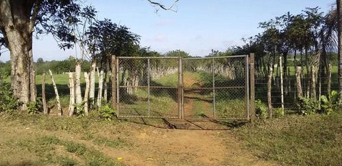 Te Vendo Excelente Finca En Monte Plata