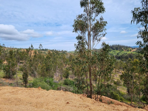 Vendo Parcelas A 20 Kms. Aproximadamente De Peralillo