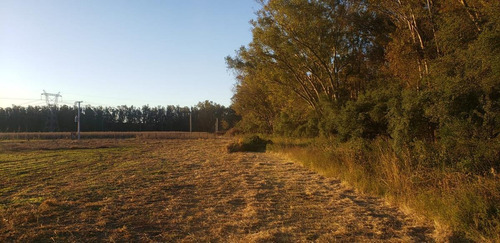 Imagen 18 de 21 de Venta En Estancia El Aduar Club De Chacras 2 Has Bosque Y Llano, Con Mejoras