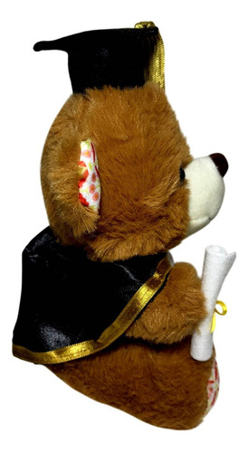 Boneco De Pelúcia Pequeno Urso Ursinho Marrom Escuro Formando - Vestido Com Traje Capelo E Diploma - Presente De Formatura - Dk Toys