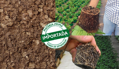 Imagem 5 de 6 de Substrato Turfa + Perlita (50%-50%) 50lts