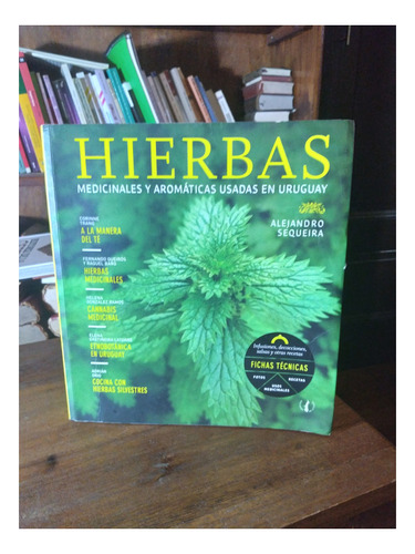 Hierbas Medicinales Y Aromaticas Usadas En Uruguay  Sequeira