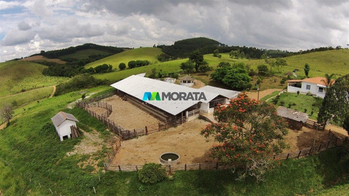 Imagem 14 de 15 de Fazenda - Zona Rural - Ref: 4755 - V-mta4755