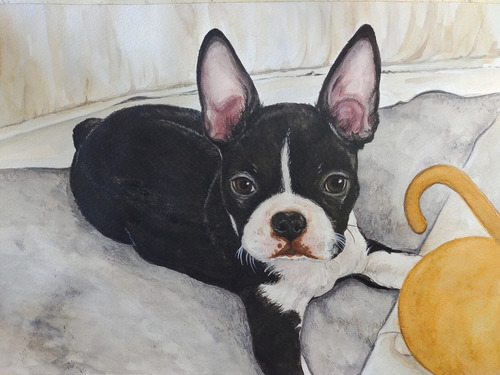 Retrato Ilustración De Mascotas Perros/gatos Acuarela Cuadro