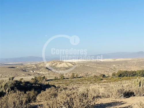Imagen 3 de 12 de Sitio Coquimbo, Condominio Ecológico Lomas Del Humedal
