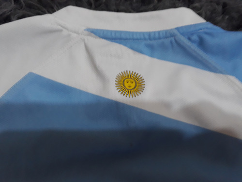 Camiseta De Los Pumas.año 2012.talle M Para Chico (Usado)