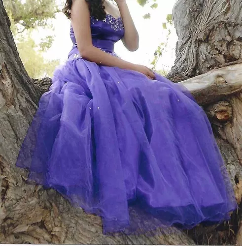 Vestido Xv Años Morado De Dos Piezas *precio Negociable* en venta en  Nogales Sonora por sólo $ 1,  Mexico