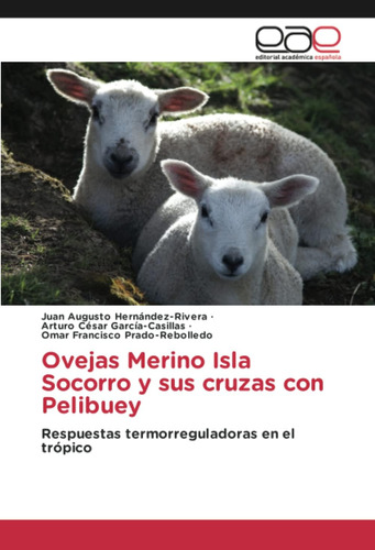 Libro: Ovejas Merino Isla Socorro Y Sus Cruzas Con Pelibuey: