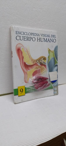 Libro Enciclopedia Visual Del Cuerpo Humano Oídos Y Cuello 9