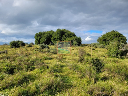 Imagen 22 de 25 de 20has De Campo Sobre Ruta 12 Pueblo Edén