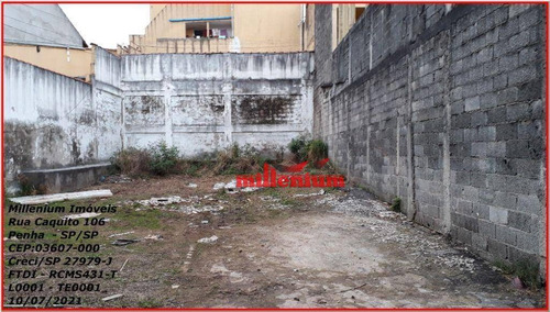 Imagem 2 de 11 de Terreno Para Alugar, 223 M² Por R$ 1.500,00/mês - Parque Boturussu - São Paulo/sp - Te0001