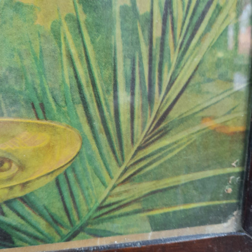 Imagem 6 de 7 de Santa Luzia Quadro Gravura Antigo Anos 60