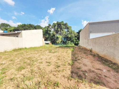 Imagem 15 de 25 de Terreno 11,5m X 30m À Venda No Bairro Eucaliptos, Em Fazenda Rio Grande. - Te00127 - 70500347
