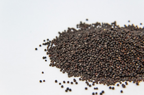 Semilla De Brócoli Para Germinado 200gr S/.40 - 1kilo S/190