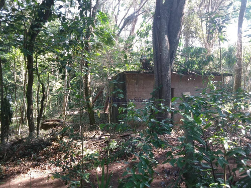 Terreno À Venda, 5000 M² Por R$ 900.000,00 - Rio Abaixo - Mairiporã/sp - Te0051
