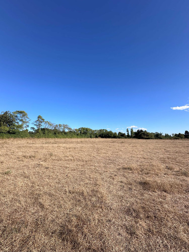 Gran Sitio Urbano Desarrollo Inmobiliario (94249)