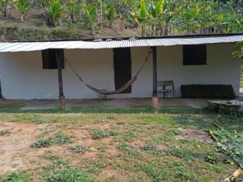 Imagem 17 de 17 de Chácara Com Riacho, Pomares De Arvores Frutíferas E Pés De Banana E Com Com 171.500 M² De Área Total, Em Miracatu Ref: 8564/ac