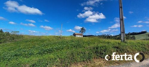Imagem 11 de 15 de Chacara - Mato Preto - Ref: 876 - V-876